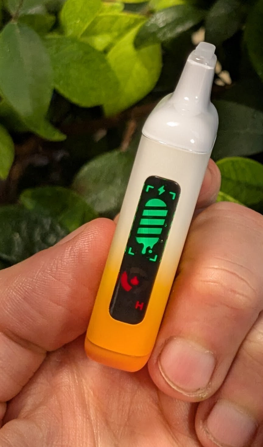 All-in-One Vapes